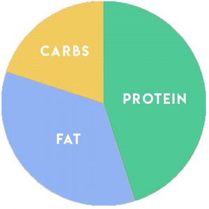 go macro protein