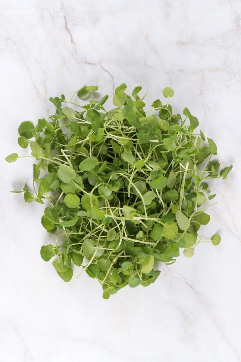 10 Foods To Detoxify Your Digestion MacroPlate Blog