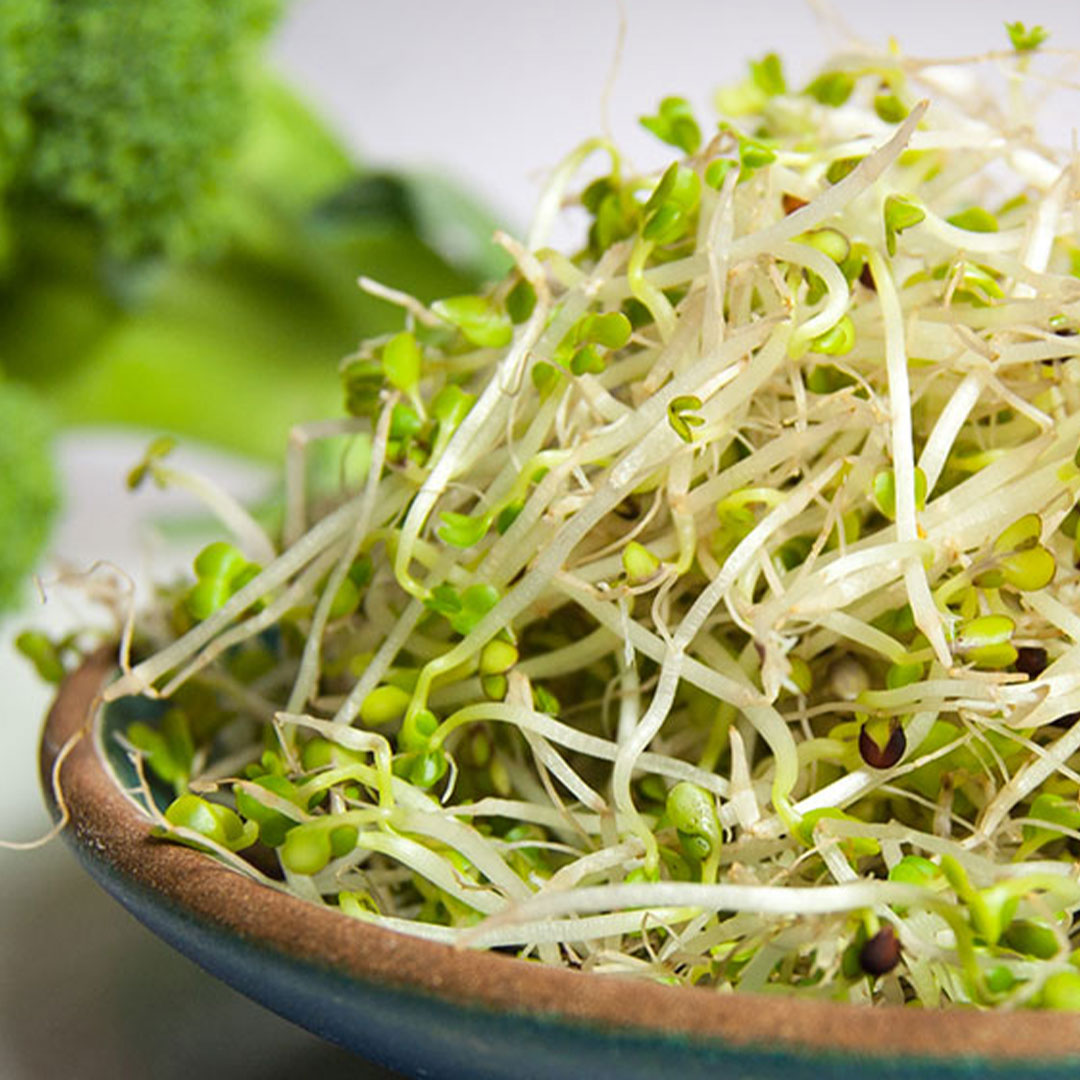 9 Best Ingredients to Reduce Inflammation MacroPlate Blog